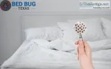 Avail The Professional Heat Treatment For Bed Bugs