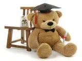 Shop Personalized Graduation Teddy Bear  Giant Teddy
