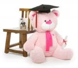 Buy Bear graduation  Giant Teddy