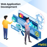 Web application development company | custom web app