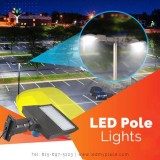 Buy Now LED Pole Lights at Discounted Price