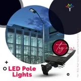 Purchase Now LED Pole Lights at Low Price