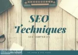 What are the services by SEO experts in USA
