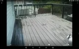 Deck Pressure Wash - Shore Points