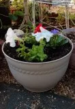 Patriotic Petunias
