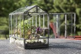 Buy Glass Terrariums online from Urbanborn at lowest price
