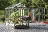 Buy Glass Terrariums online from Urbanborn at lowest price