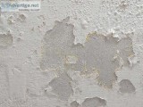 Water Seepage Waterproofing Contractors