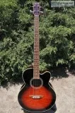 Brownsville Acoustic Electric Bass Guitar