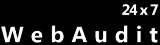 Web Audit Report  Website Usability Conversion and Competitor An