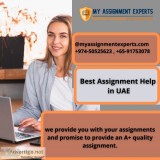 Best Assignment Help in UAE  Homework help in UAE