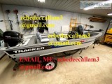 1994 bass tracker pro deep v-17