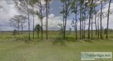 0.5 Acres for Sale in Indian Lake Estates FL