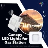Buy Now Canopy LED Lights for Gas Station