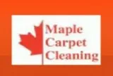 Carpet Stains Removal Toronto Maple Carpet 1 Stain Removal Richm