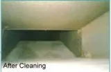 1 Area Rug Cleaning Toronto and Richmond Hill Best Area Rug Clea