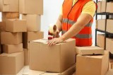 Certified Packers And Movers In Bathinda