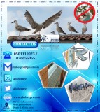 Bird control services