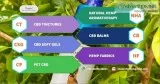 Buy best cbd oil in india | cannabidiol oil in india | hemp