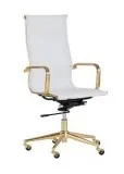 Buy Sunpan Alexis Office Chair  Office Chair  Graysondh.com