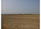 NA Commercial Land For Sale In Dholera SIR