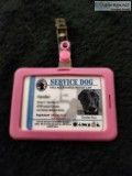 Service Dog Identification Card