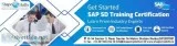 Learn sap sd online training Course with ShapeMySkills Pvt. Ltd.