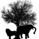 Veterinary services