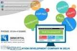 Web Application Development Company in Delhi