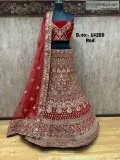 Pretty look new design bridal lehenga now in Chandni Chowk.