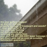 Gutter cleaning