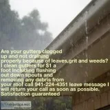 Gutter cleaning