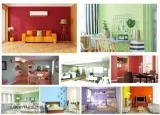 Interior Home Painting Contractors