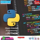 Python course online training