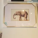 Elephant Drawings