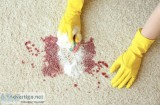 Expert Carpet Pet Removal in Brisbane