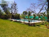 pet friendly homestay in jim corbett  corbett mystic inn jim cor