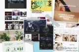 $300 - $1000 pro website design | no deposit