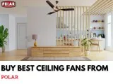 Purchase Decorative Ceiling Fans To Boost Your Space