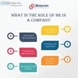 Role Of HR In A Company