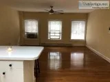 Bright Top Floor One BR Skylights