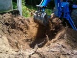 Stump Removal and Stump Grinding Company in Rockland NY