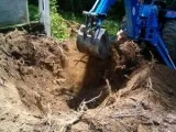 Stump Removal and Stump Grinding Company in Rockland NY