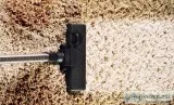 Finest Carpet Mould Damage Removal Perth