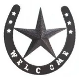 WESTERN STAR WALL DECOR  10016999