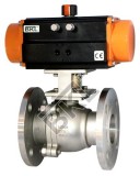 Pneumatic Actuator - Pneumatic Actuator Manufacturer and Supplie