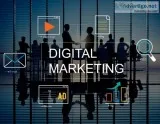 Web development and seo services