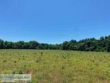 Beautiful 7.87 Acre building tract with large perk site