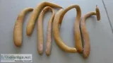 Snake Gourds for crafts