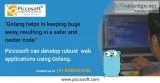 Golang development company Golang development company in Chennai